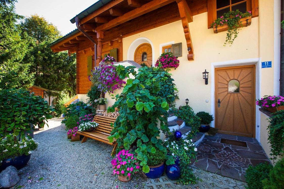 Haus Frick Apartment